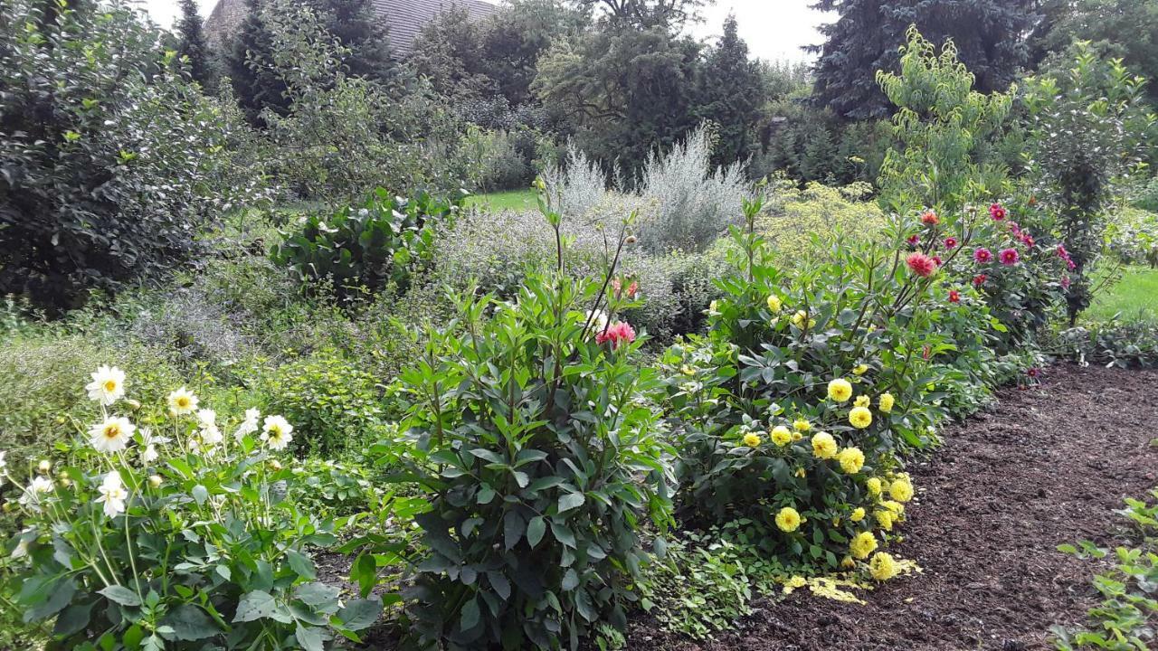 Gaestezimmer Sommer Locktow Exterior foto