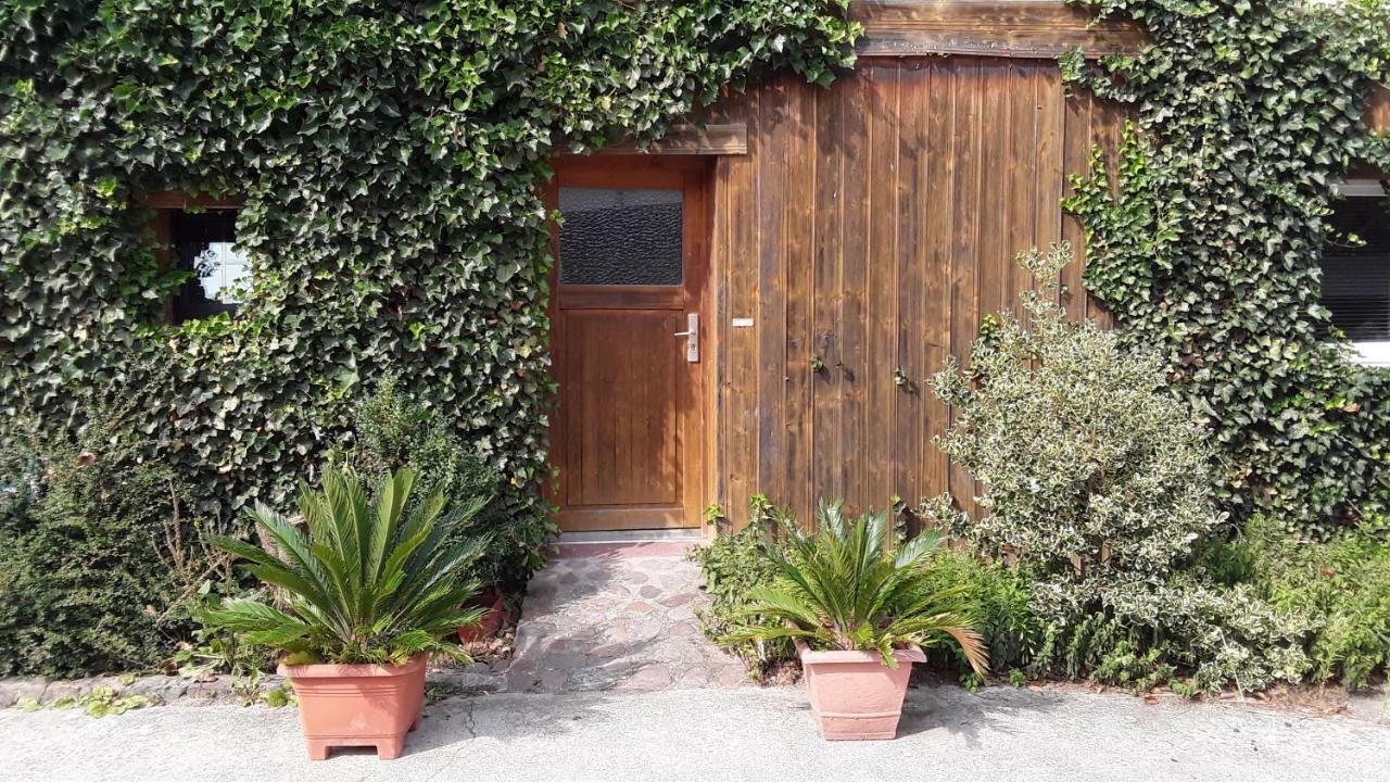 Gaestezimmer Sommer Locktow Exterior foto