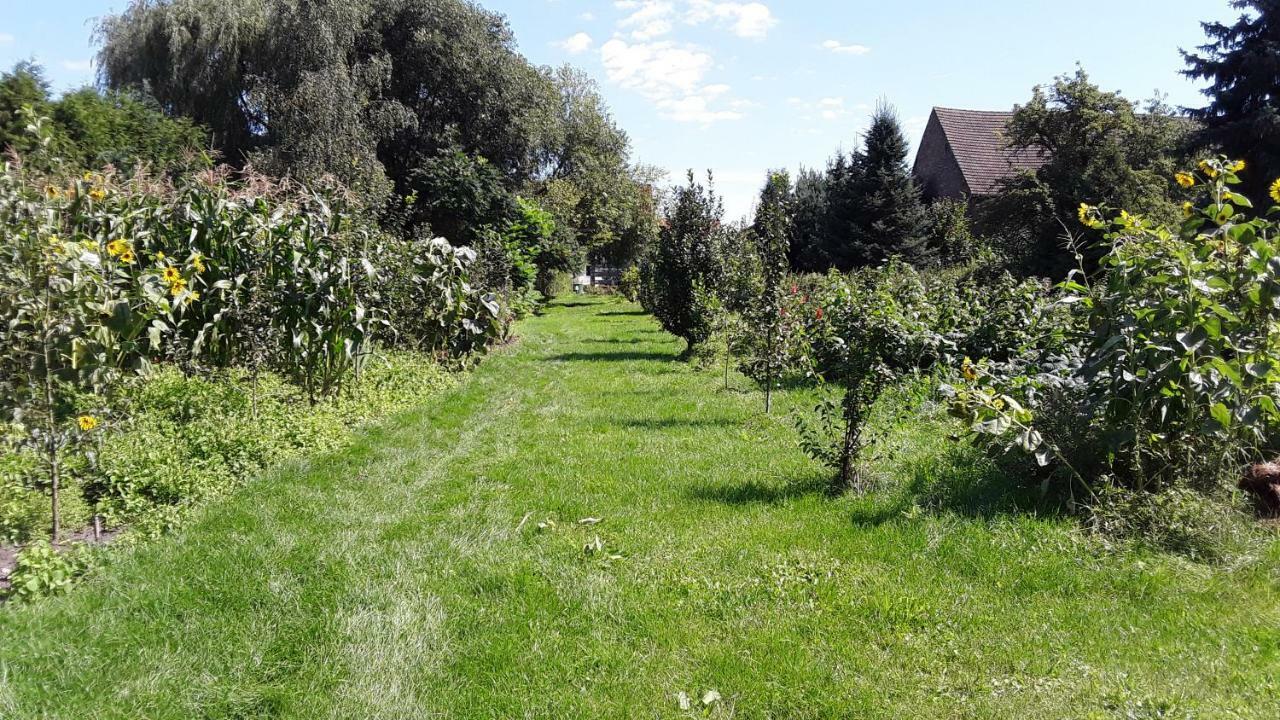 Gaestezimmer Sommer Locktow Exterior foto