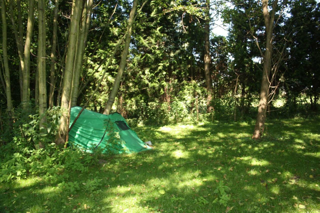 Gaestezimmer Sommer Locktow Exterior foto