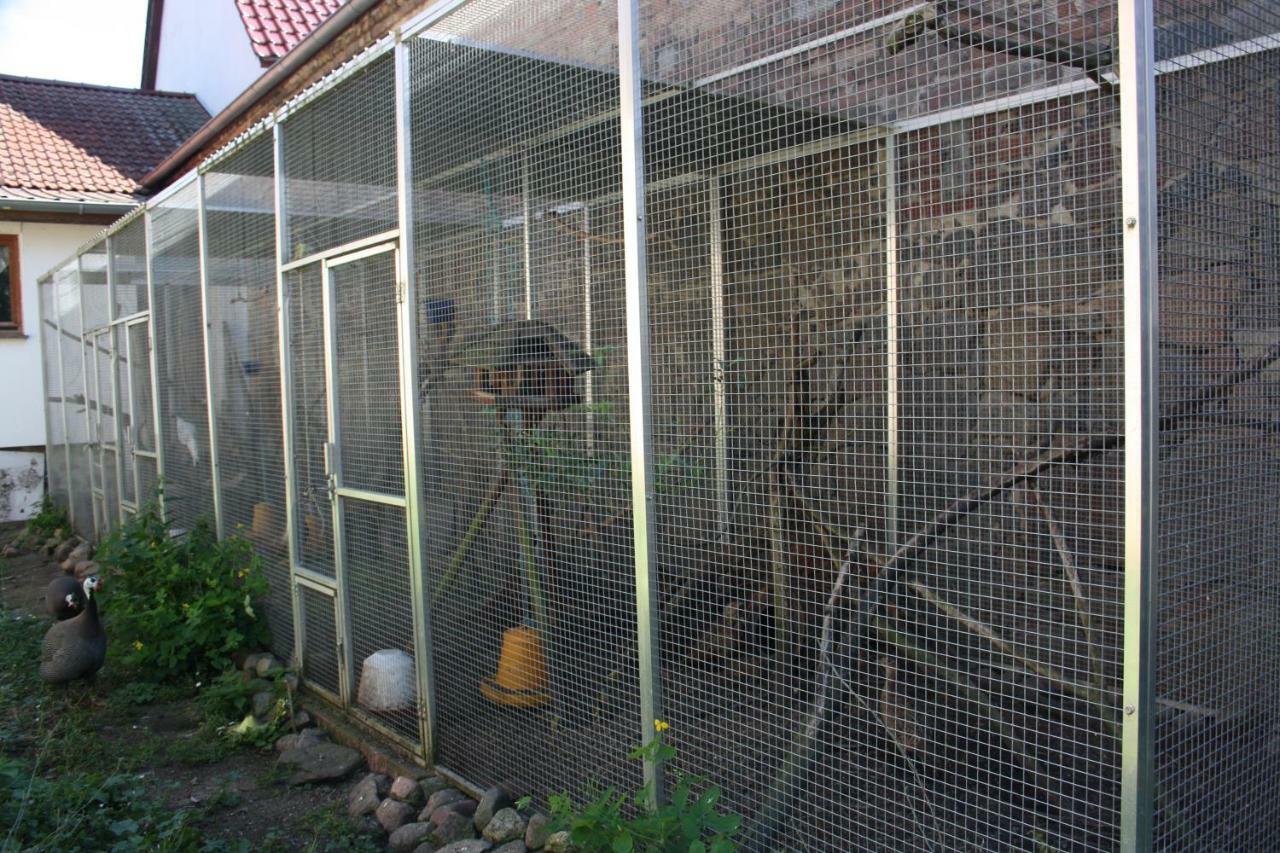 Gaestezimmer Sommer Locktow Exterior foto